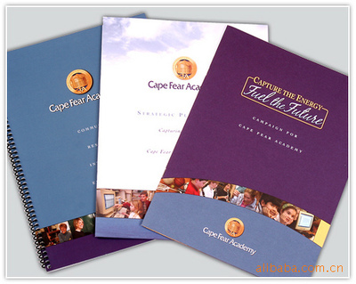 圖片、畫冊-供應(yīng)廣州產(chǎn)品手冊印刷 手冊樣板印刷 產(chǎn)品冊設(shè)計(jì)印刷 廠家直銷-圖.