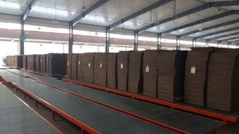 新一代電腦薄刀縱切壓痕機受紙箱廠追捧,業(yè)內(nèi)名企頻點贊